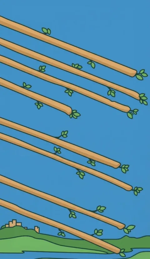 Eight of Wands